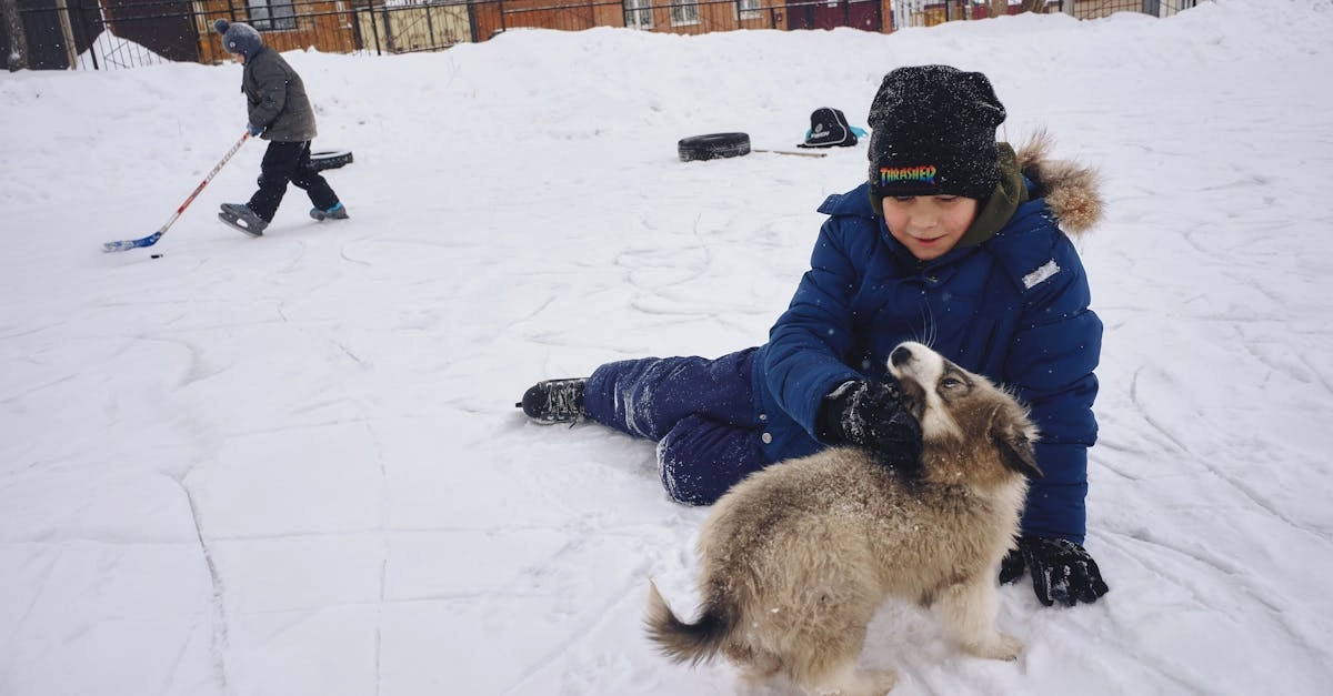 Игровой автомат The Dog House с яркими символами собачек